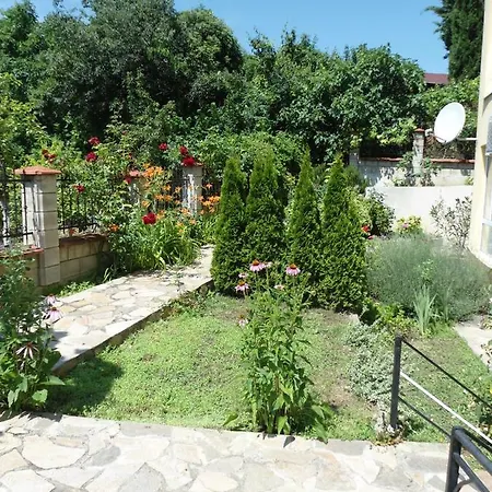 Studio Coliseum Appartement